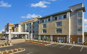 Springhill Suites By Marriott Belmont Redwood Shores